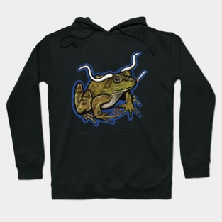 Longhorn Bullfrog Hoodie